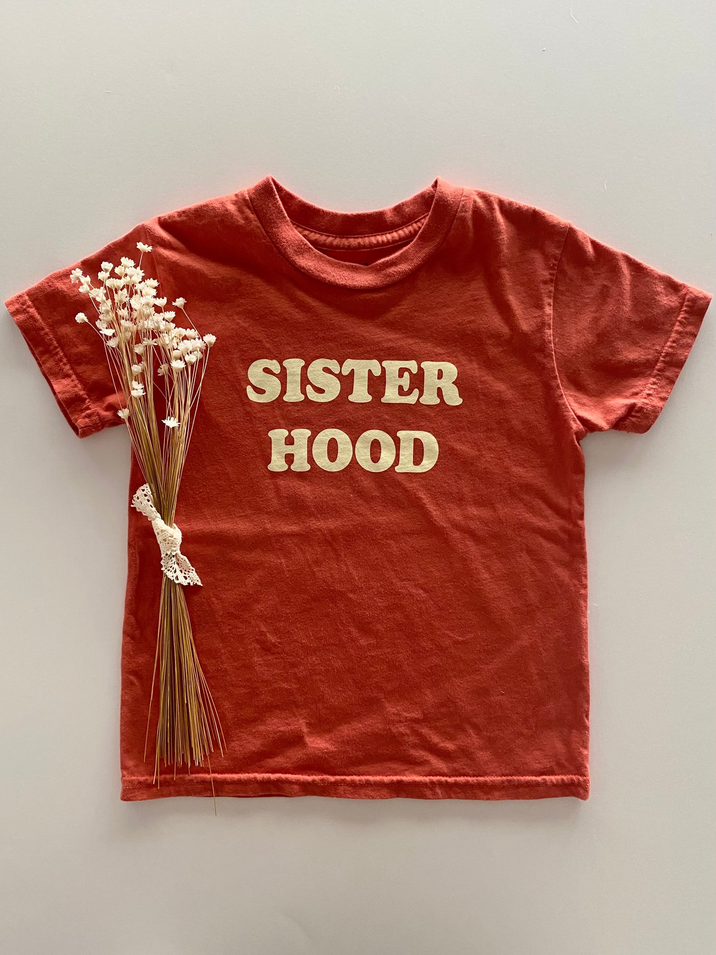 sisterhood tee | canyon clay